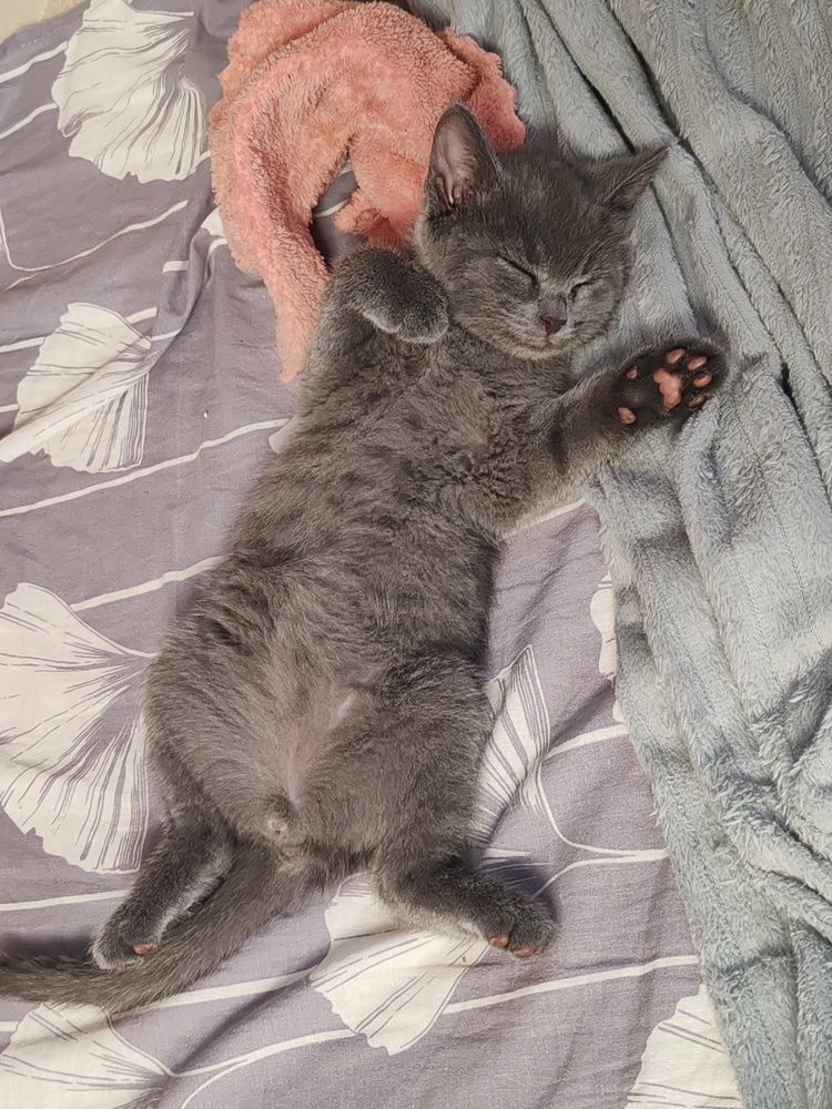 Photograph by Ивашкин Алексей