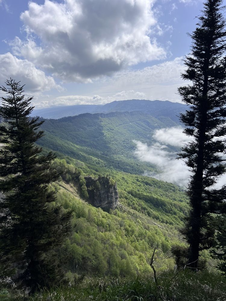 Photograph by Елена Зенкевич