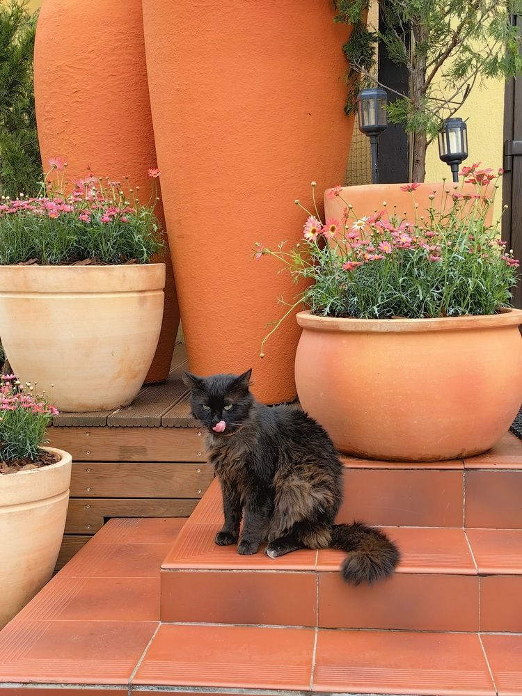 Photograph by Елена Акимова