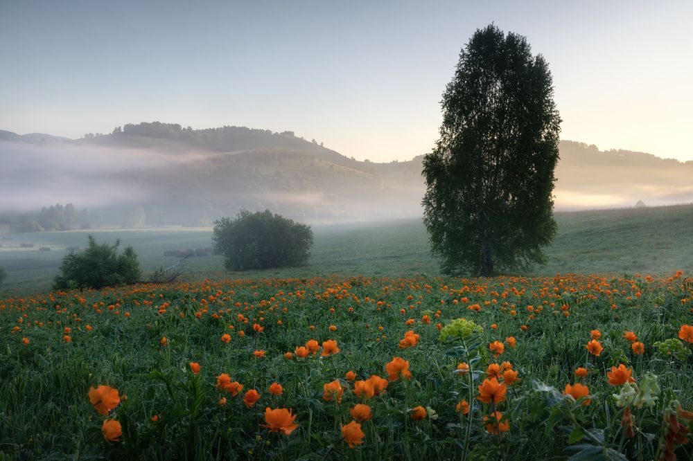 Photograph by Алёна Рубан