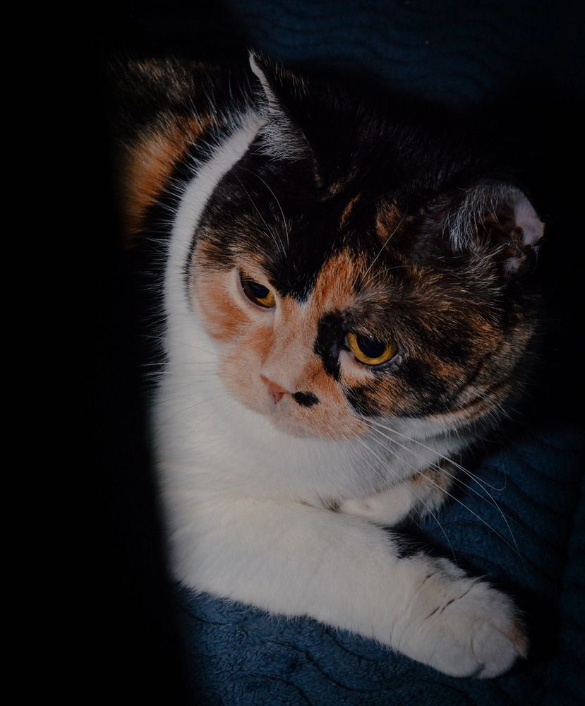 Photograph by Юлия Сурикова