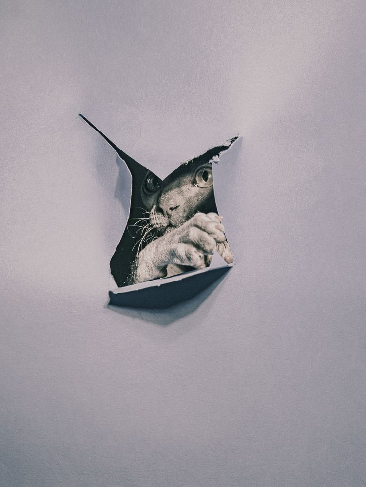 Фотография автора Alla Kasirska