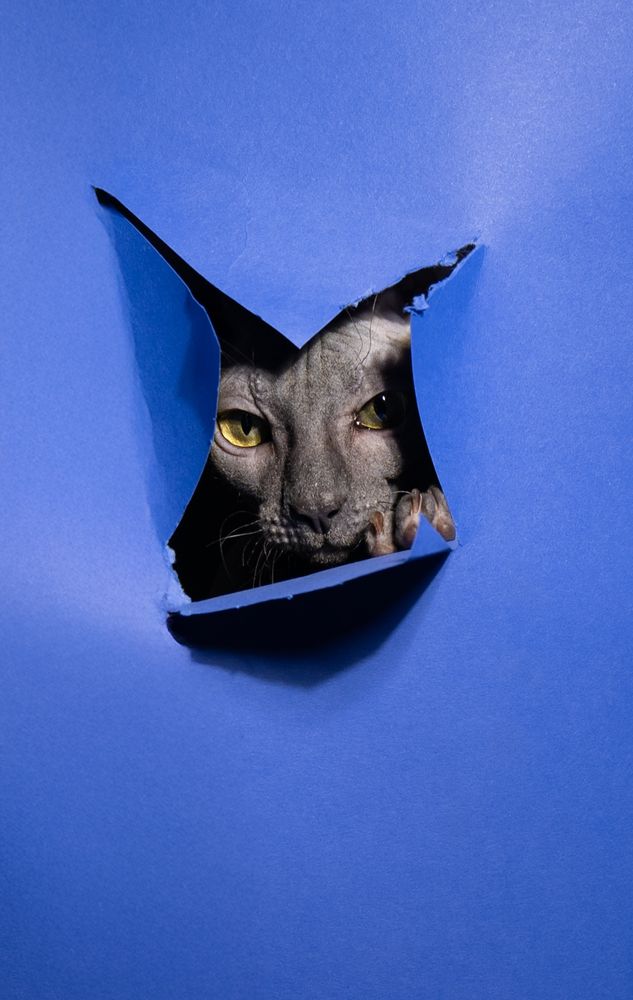 Фотография автора Alla Kasirska