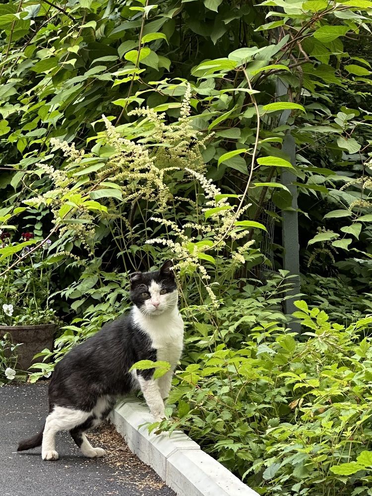 Photograph by Анастасия Конина