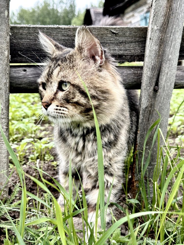 Photograph by Анастасия Конина