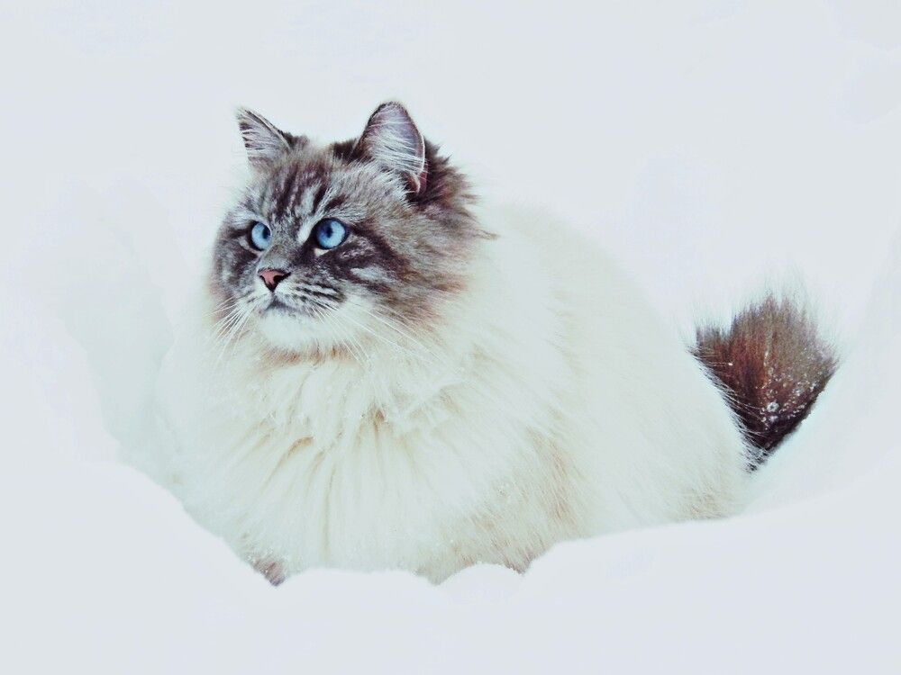 Photograph by Юрий Пучков