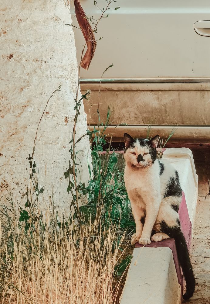 Фотография автора Fethi South Sider