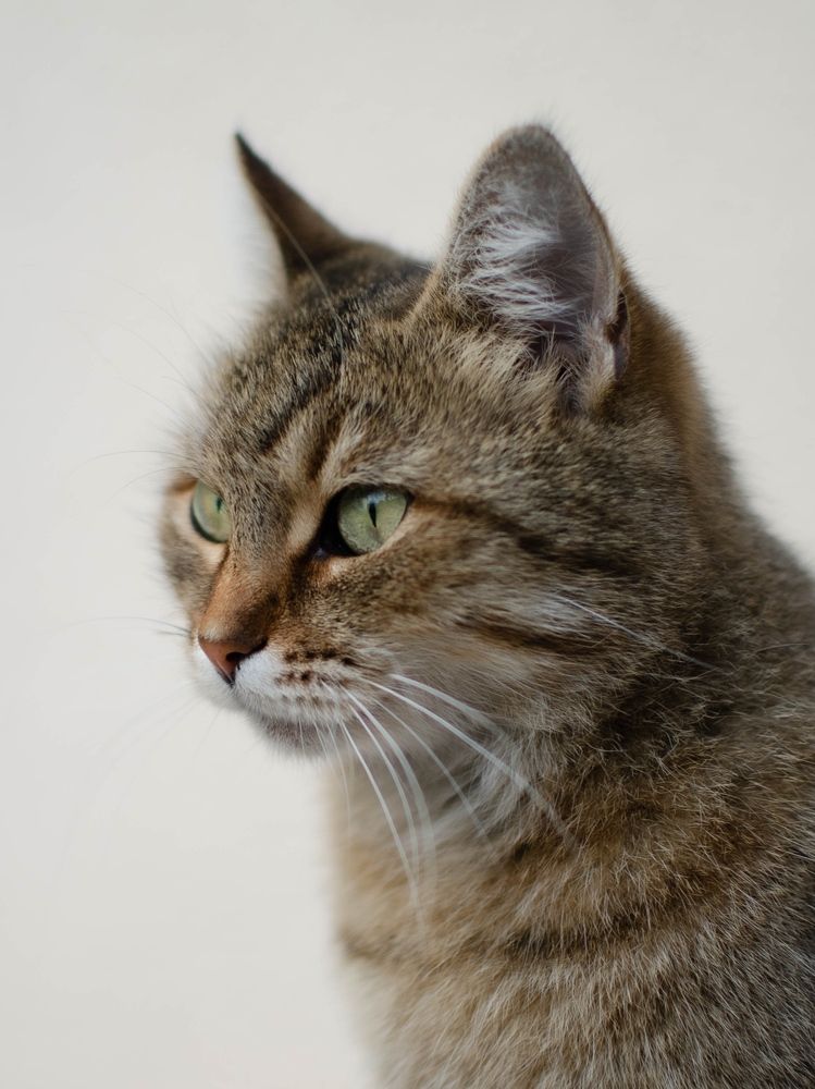 Photograph by Андрей Савёлов