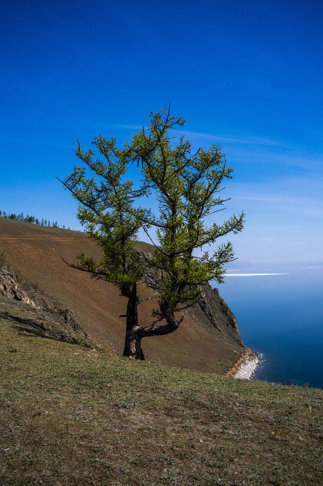 Photograph by Константин Зинченко