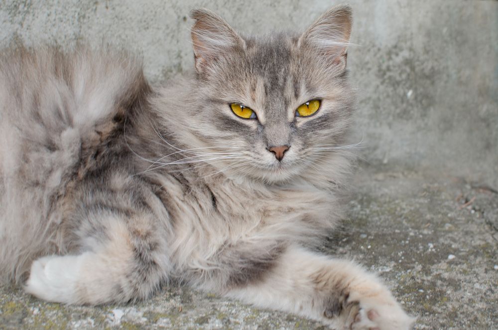 Photograph by Андрей Савёлов