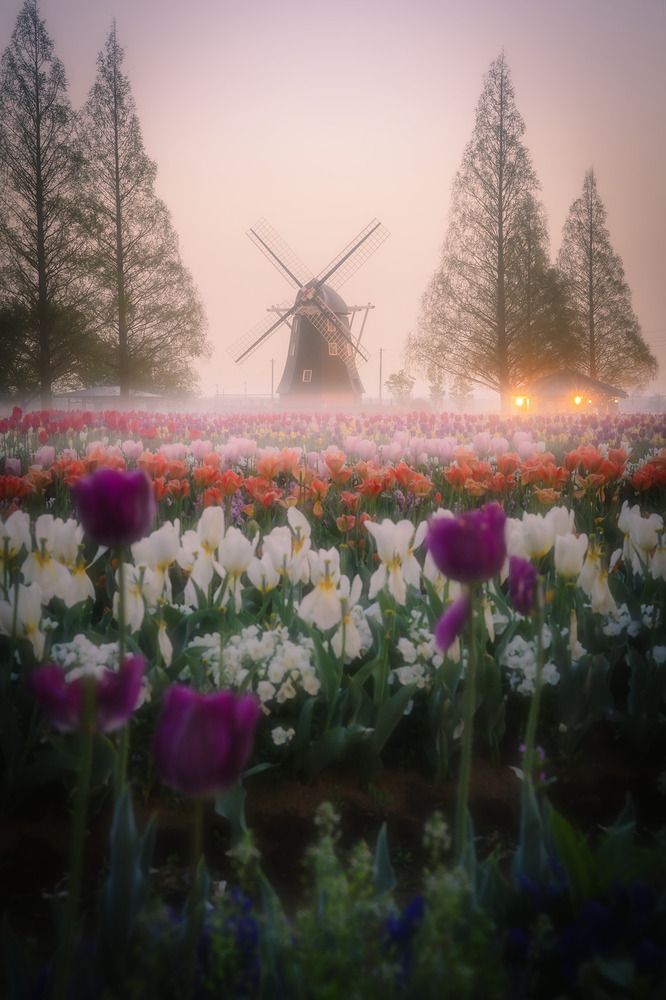 Photograph by nguyen van minh