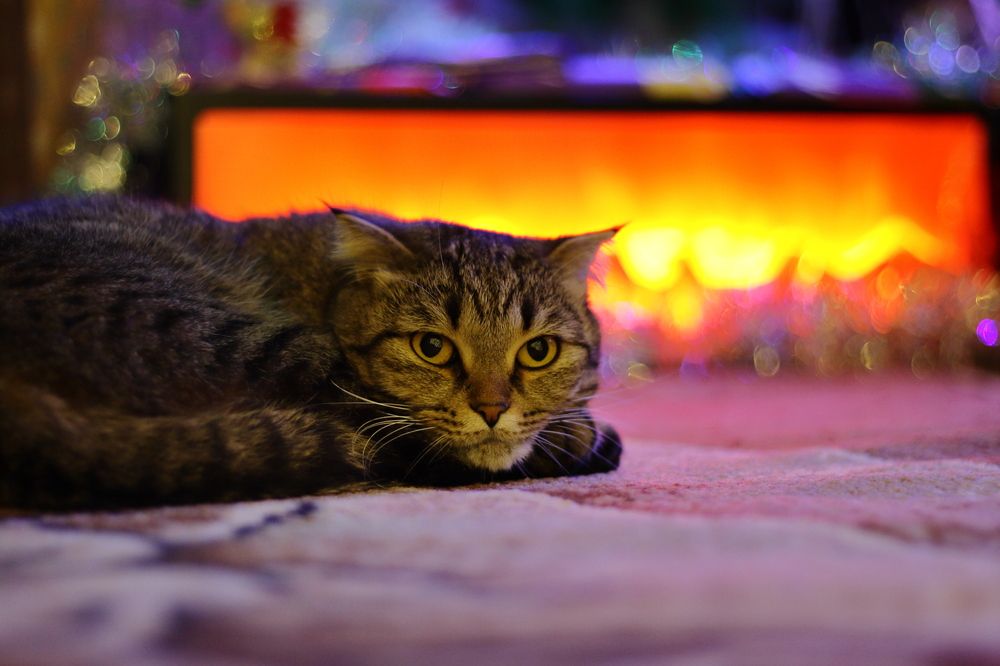 Photograph by Крематорин Артур