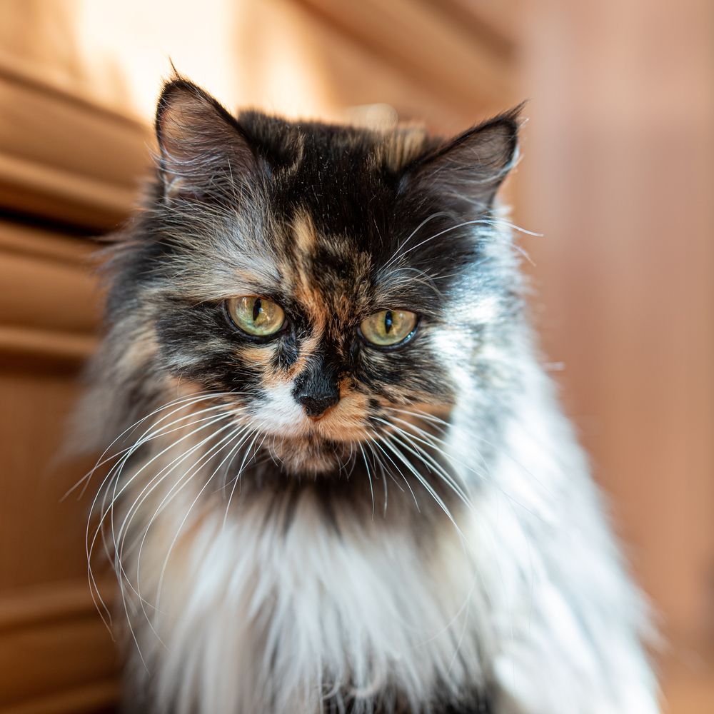 Photograph by Александр Филипенко