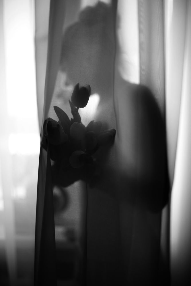 Photograph by Елена Шишкина