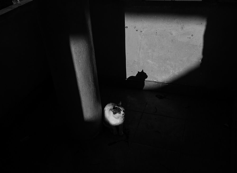 Photograph by على اشرف محمد عبد الجواد شعبان