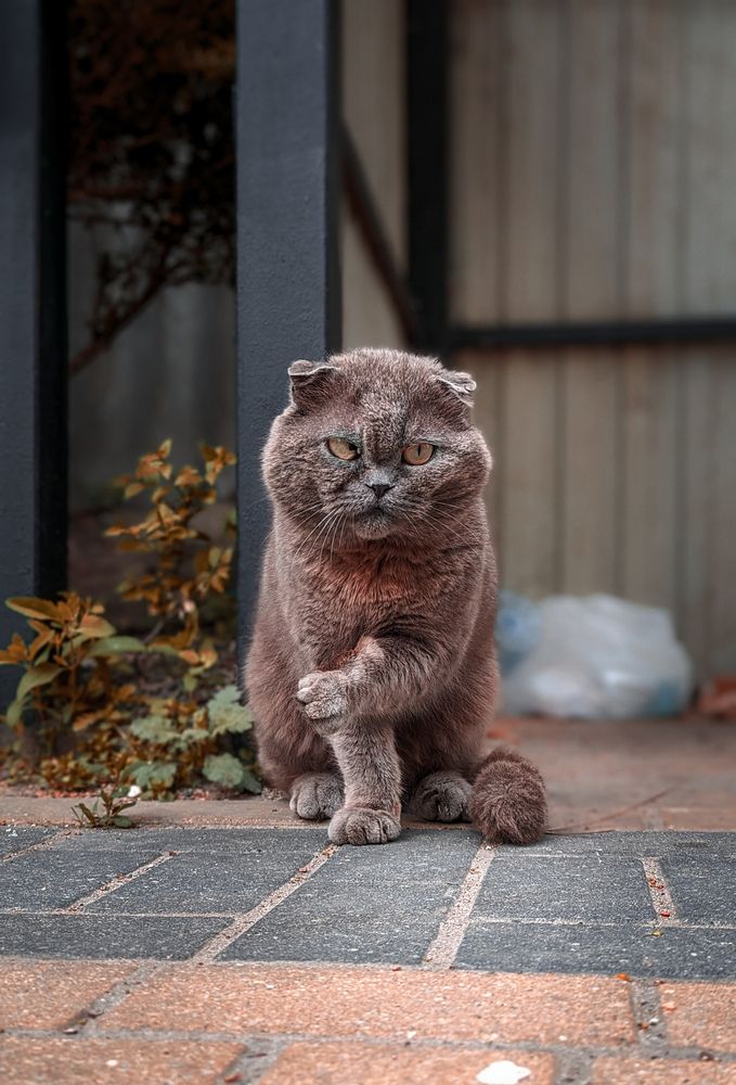 Фотография автора Ксения Шляйхер