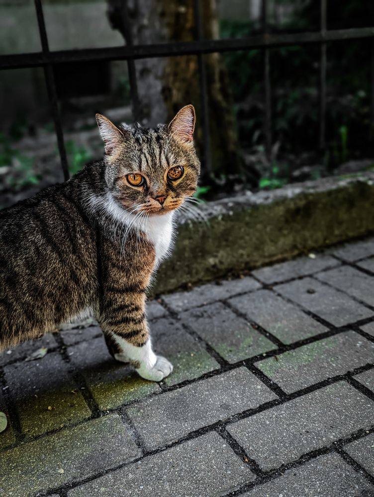 Фотография автора Ксения Шляйхер