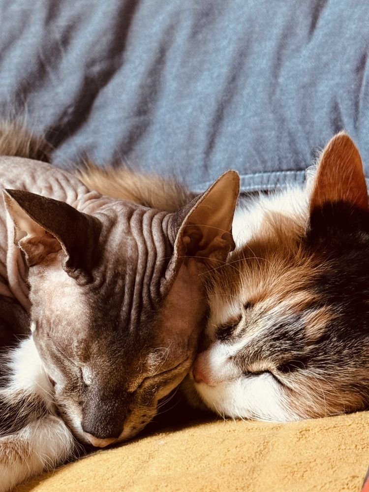 Photograph by Ekaterina