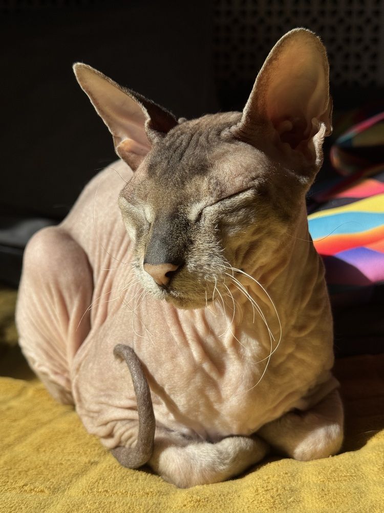 Photograph by Ekaterina