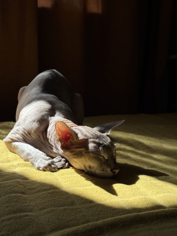 Photograph by Ekaterina