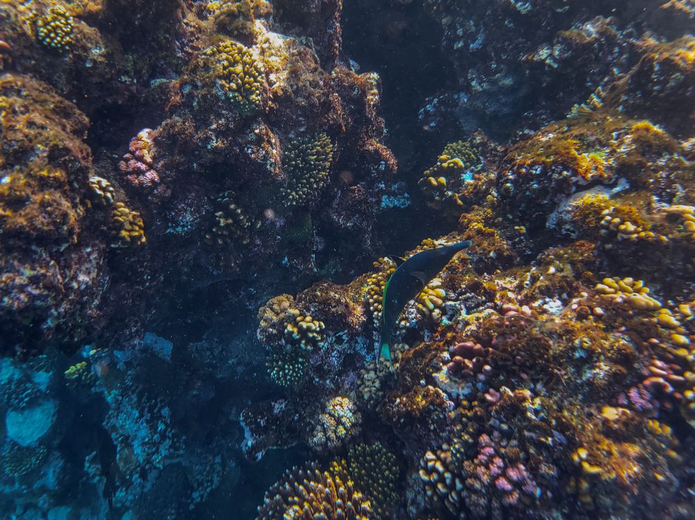 Photograph by Валерия Гуртовая