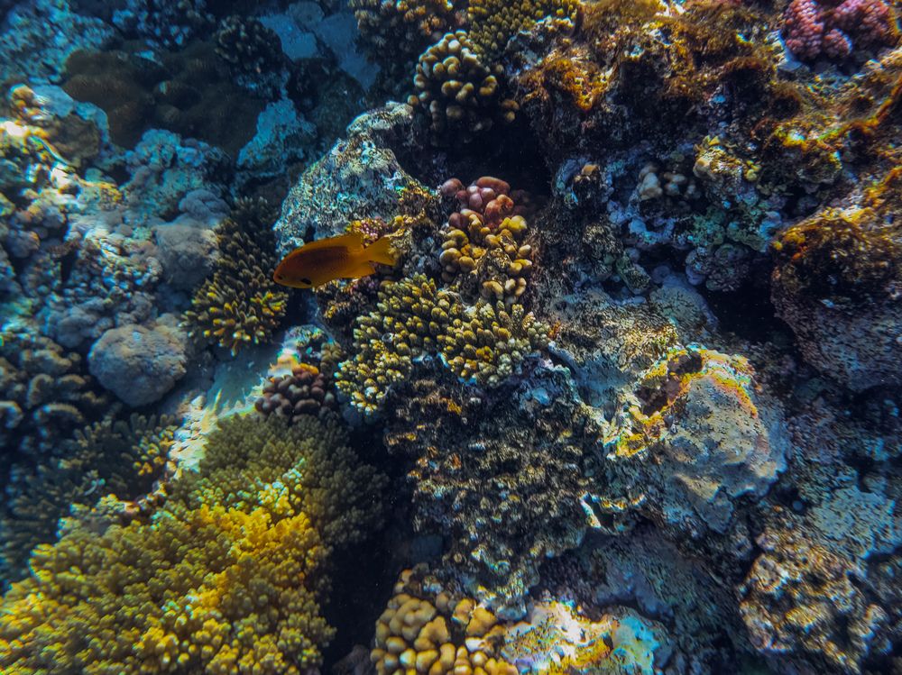 Photograph by Валерия Гуртовая