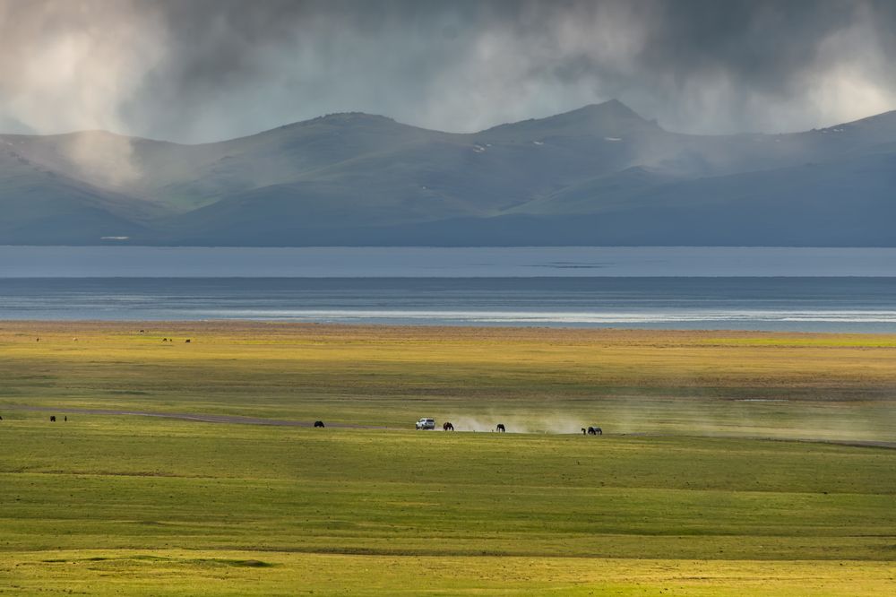 Photograph by Никита Борзов