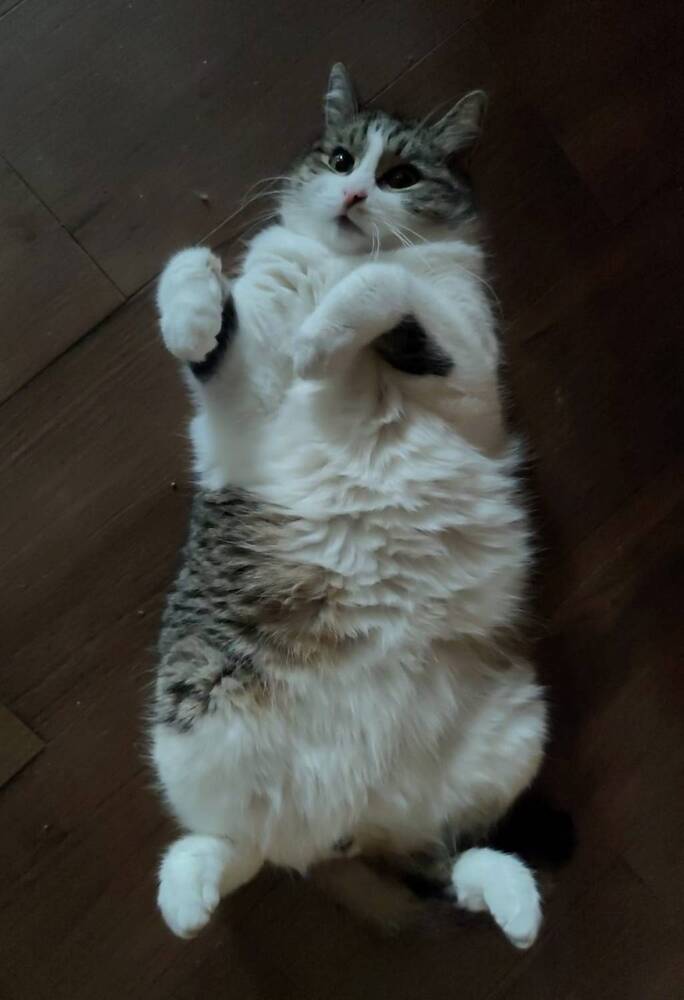 Photograph by Елена Юдина