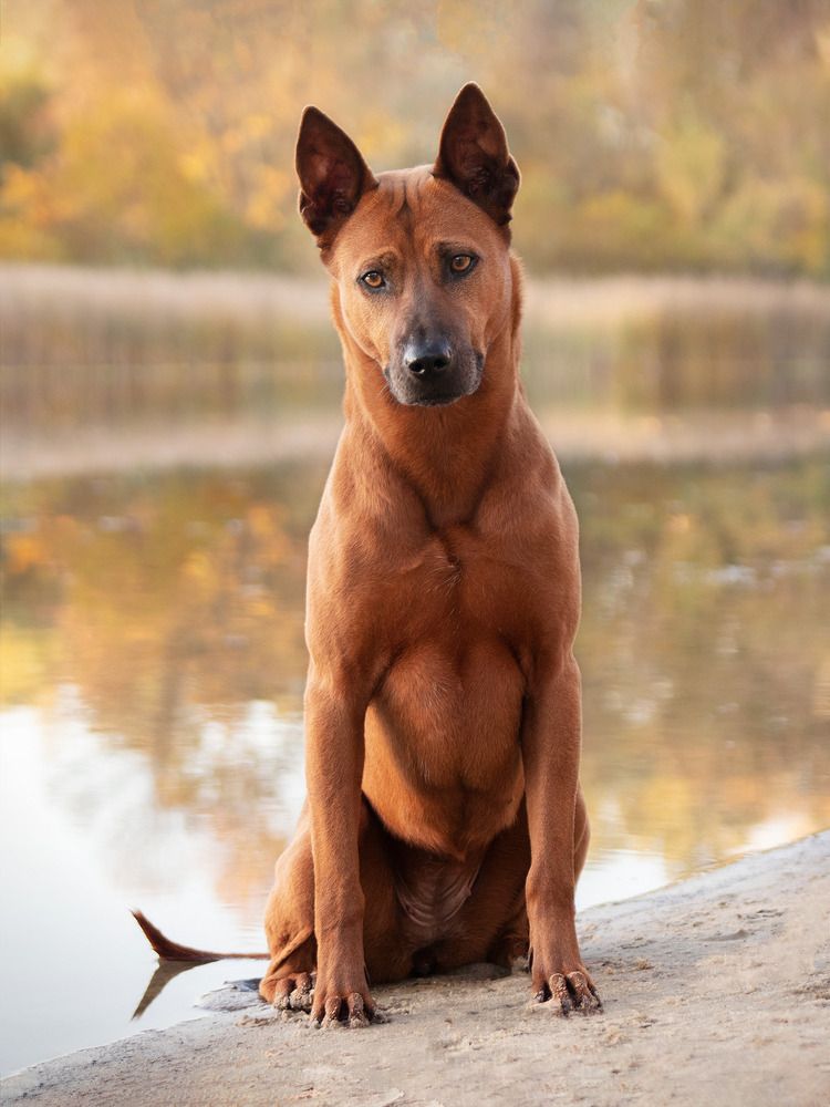 Favorite season of the year is coming