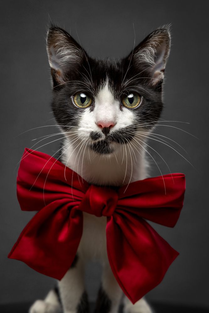 Photograph by Alessia Monaco