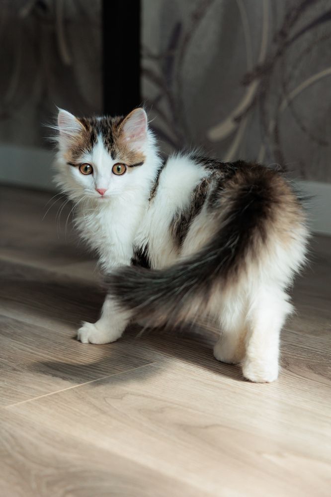 Фотография автора Артём Пышкин