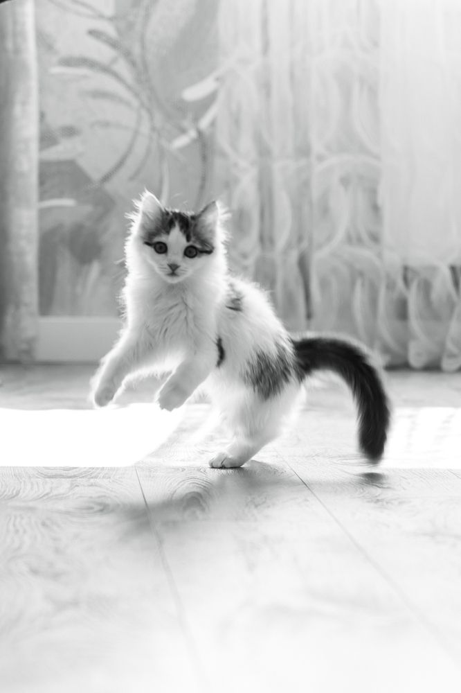 Фотография автора Артём Пышкин