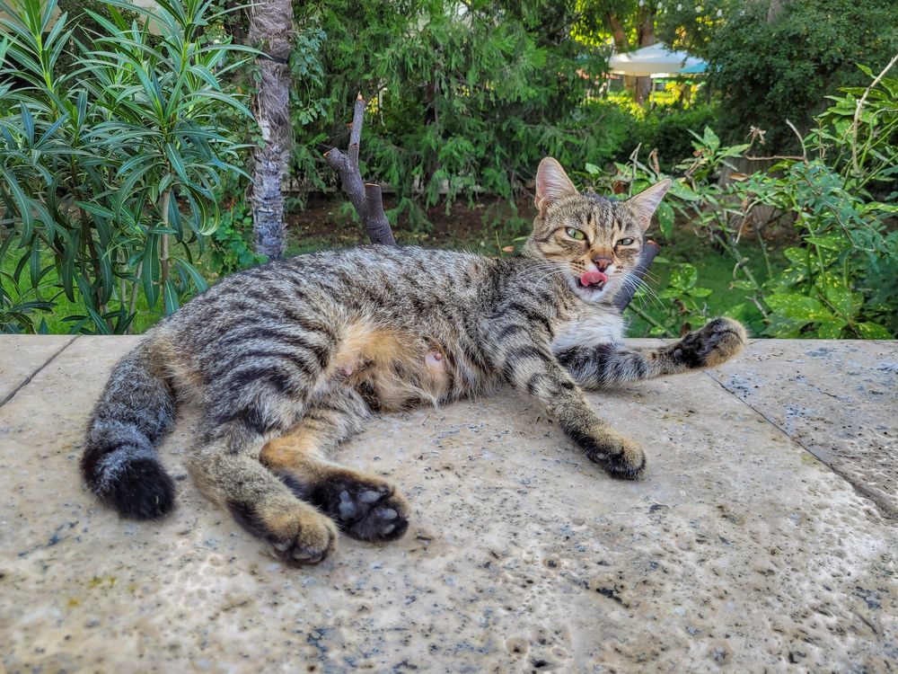 Photograph by Валерия Гуртовая