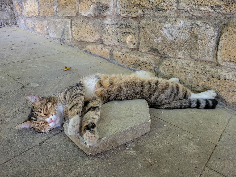 Photograph by Валерия Гуртовая