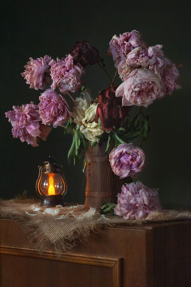 Photograph by Olga Akhmetova