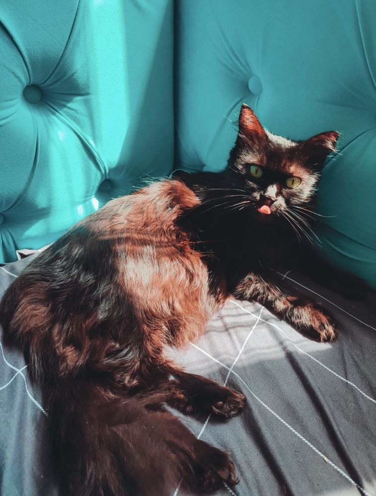 Photograph by Анна Цепкова