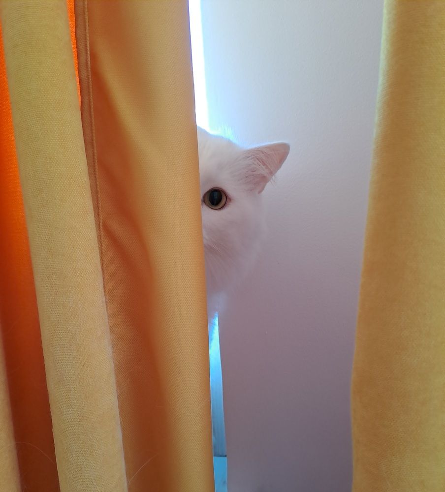 Photograph by Ирина Савельева