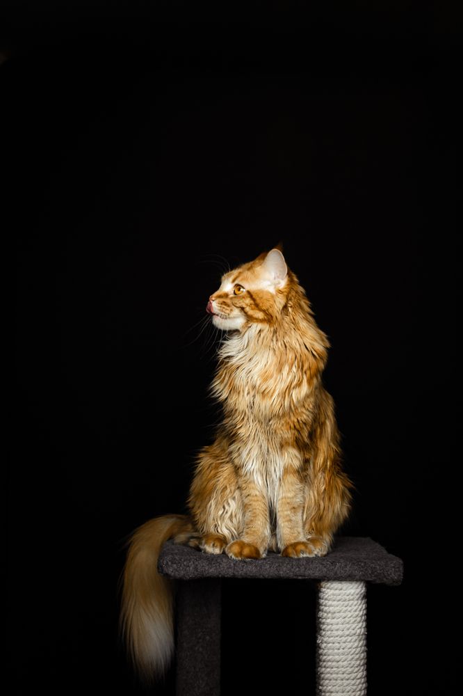 Photograph by Екатерина Абатурова