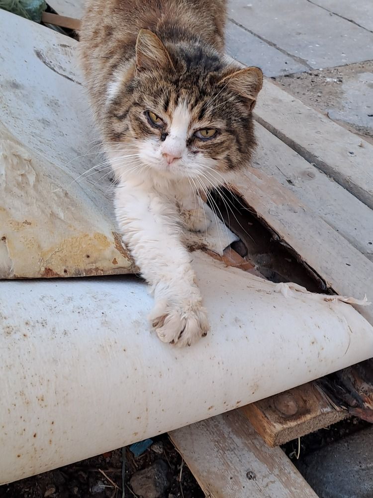 Photograph by Ирина Савельева