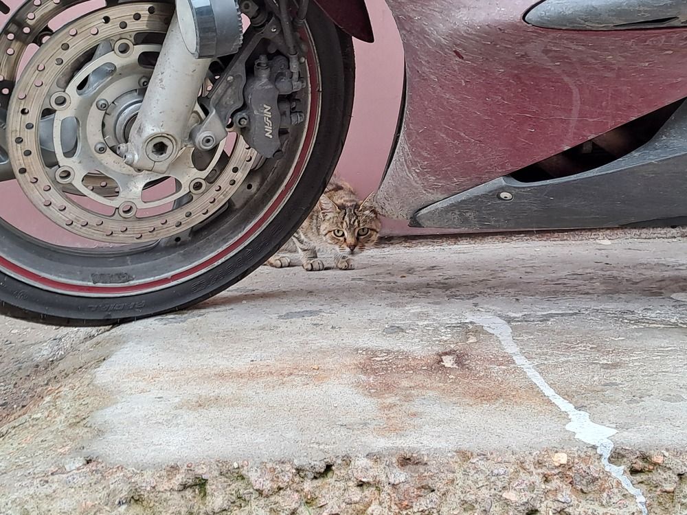 Photograph by Ирина Савельева