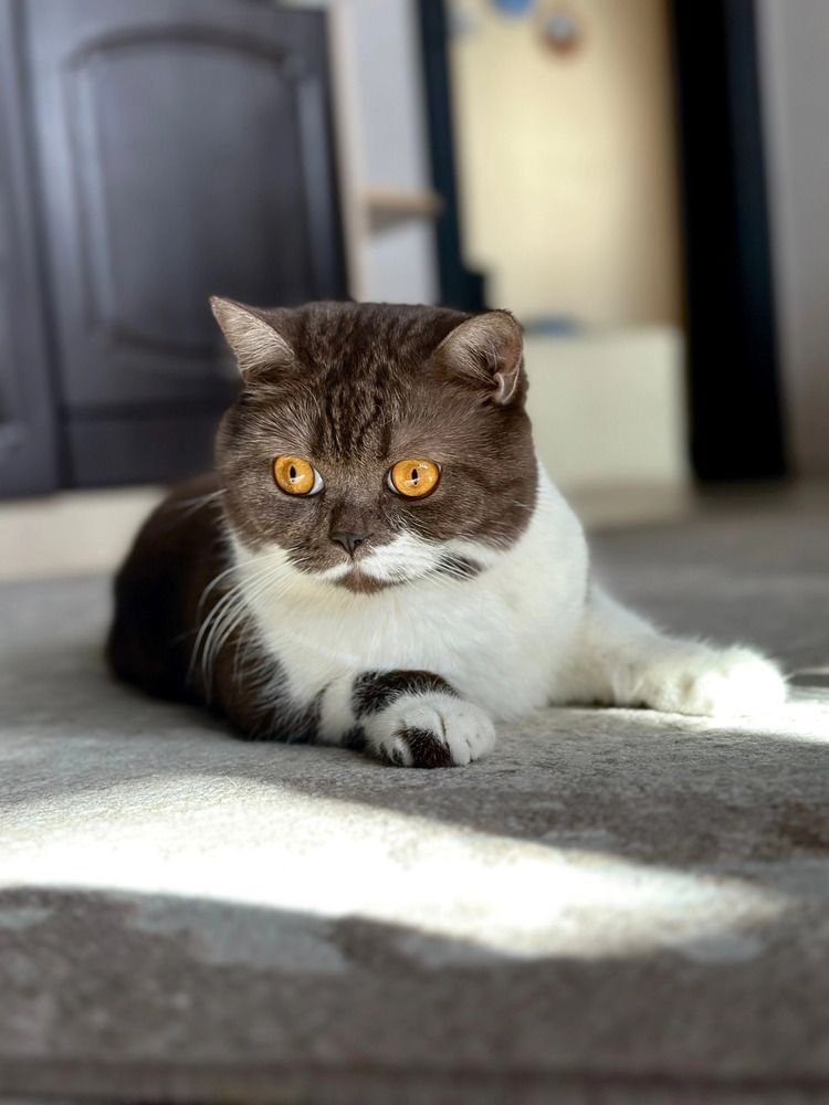 Photograph by Nataliya Mirkulenko