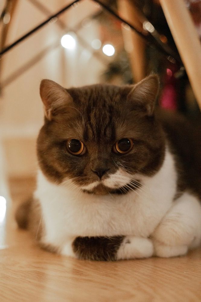 Photograph by Nataliya Mirkulenko