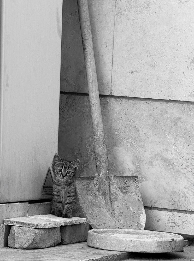 Photograph by Amin Sarlak