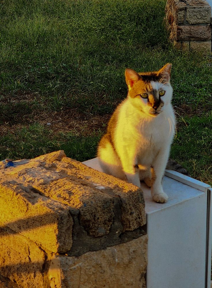 Фотография автора Galina Israilov