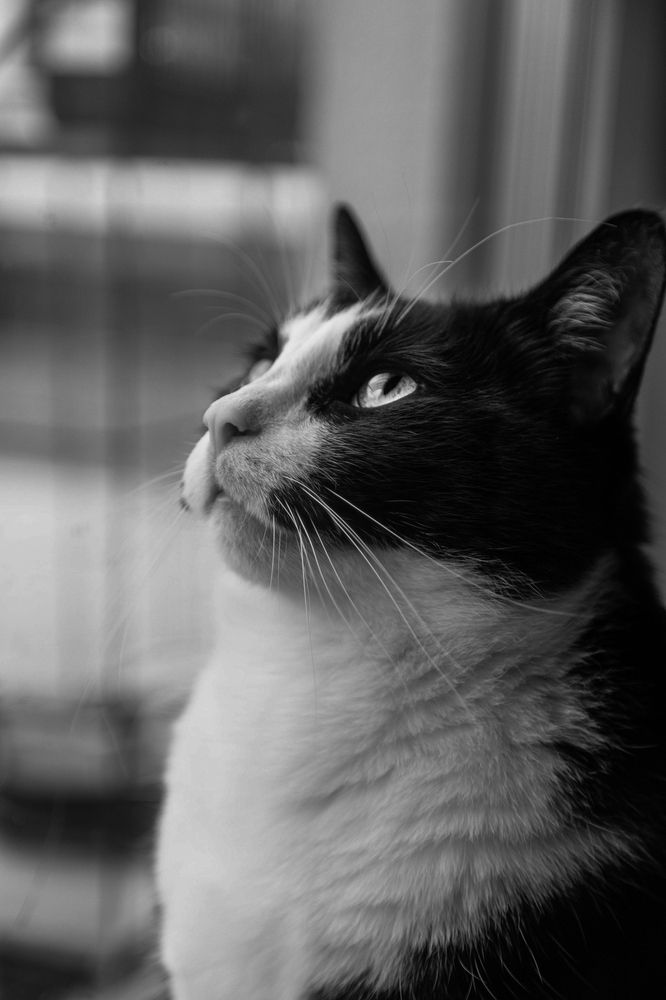 Photograph by Alex Mendla