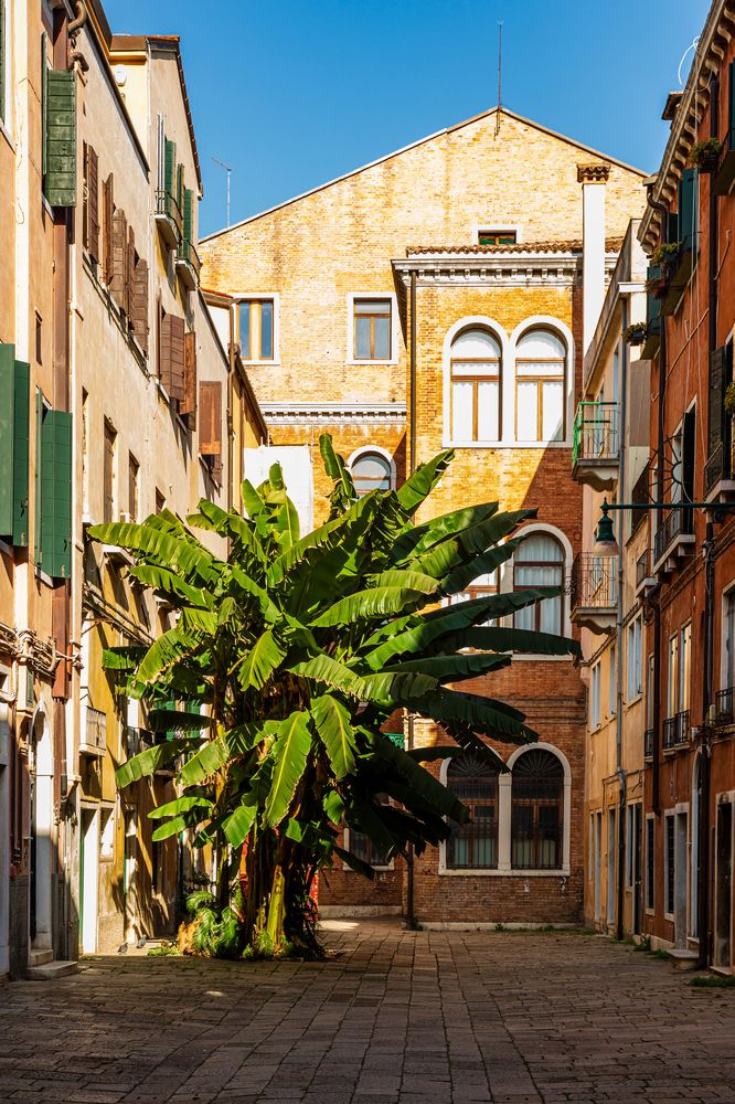 Photograph by Andrea Vanzini