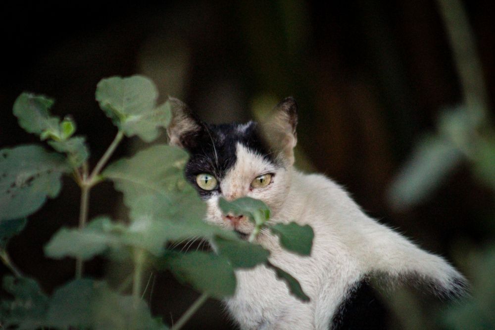 Photograph by Ziad Rizwan