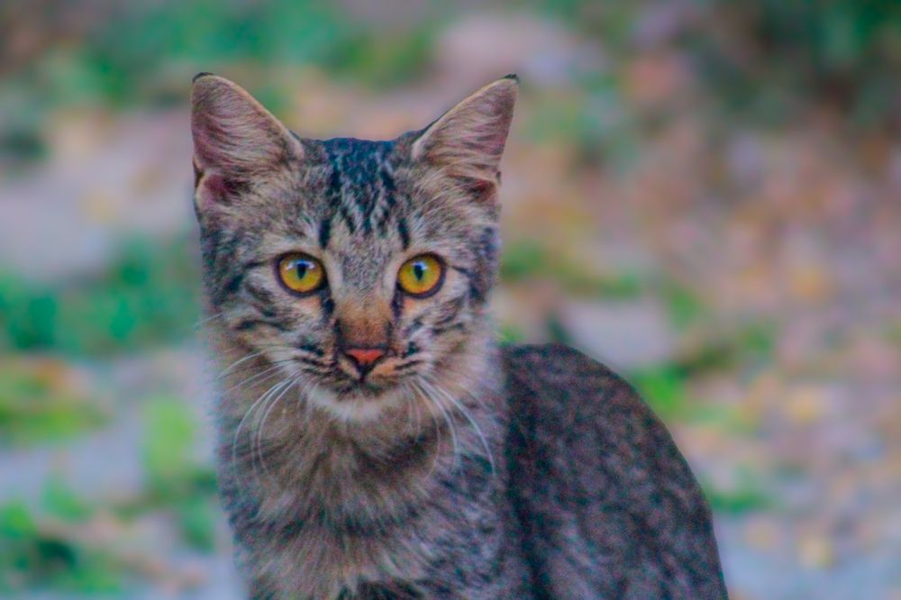 Photograph by Ziad Rizwan