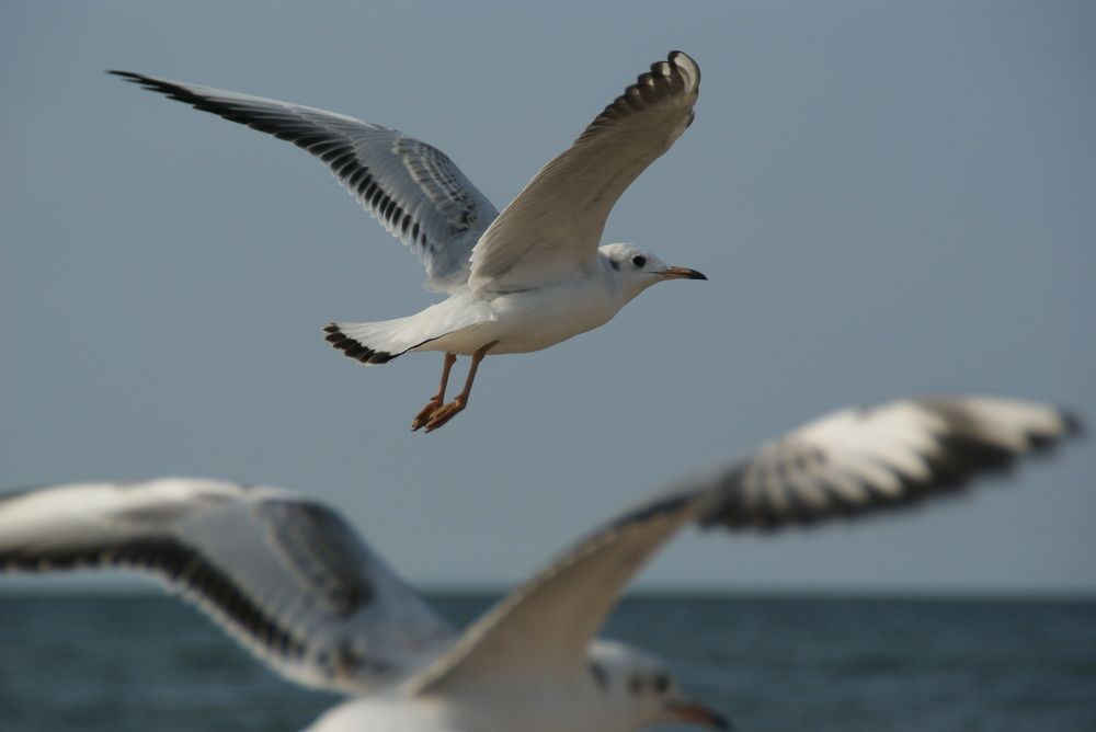 Photograph by Alex Mendla
