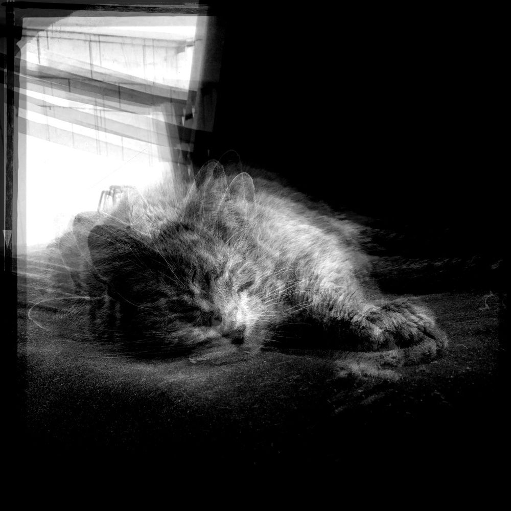 Photograph by Антон Лаба